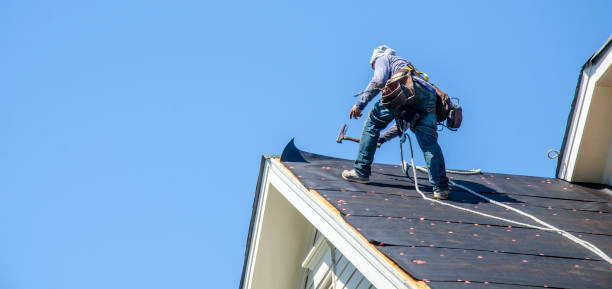 Best Roof Repair Services  in Bridgeport, WV